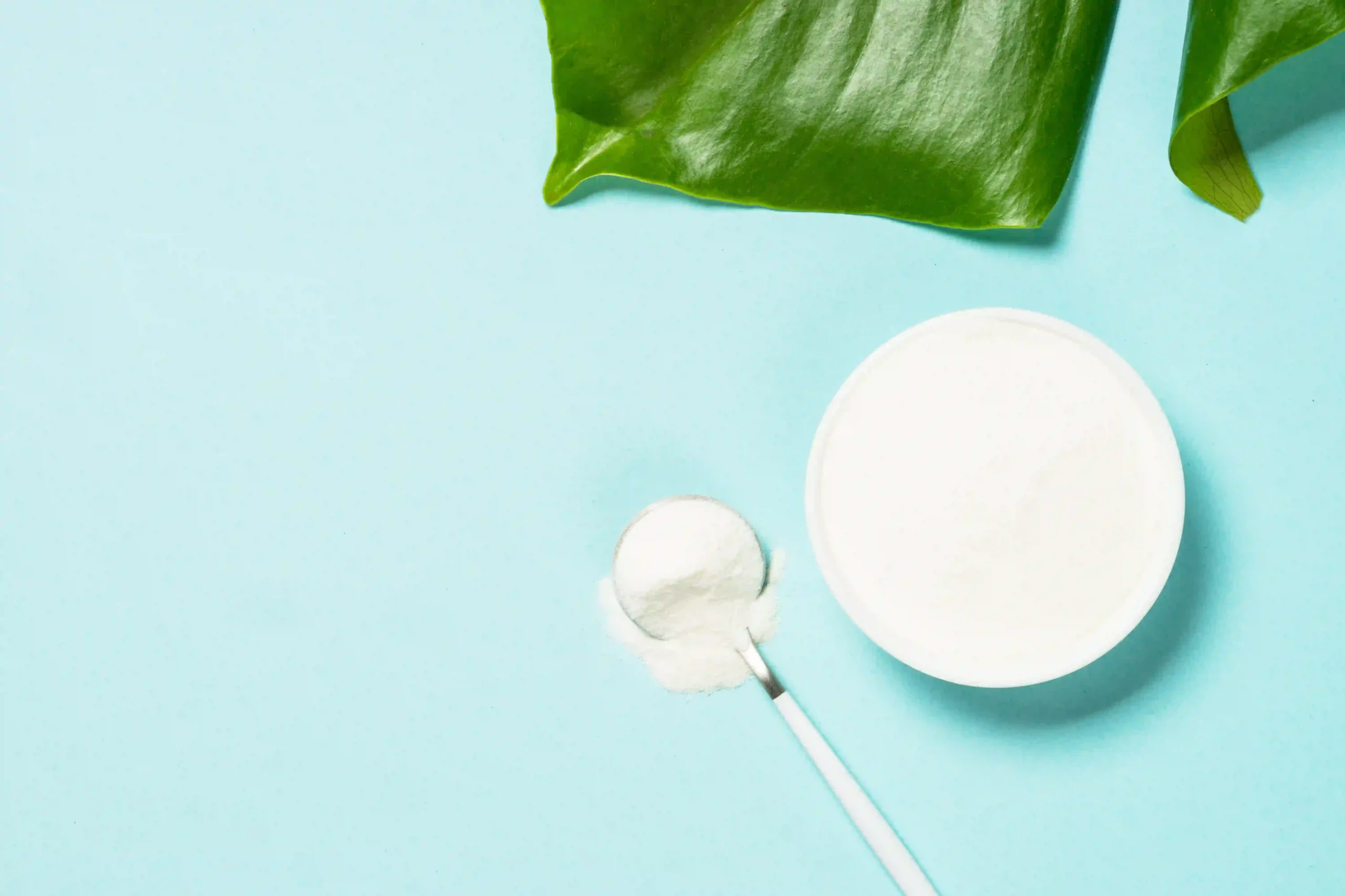 Collagen powder with green leaf background